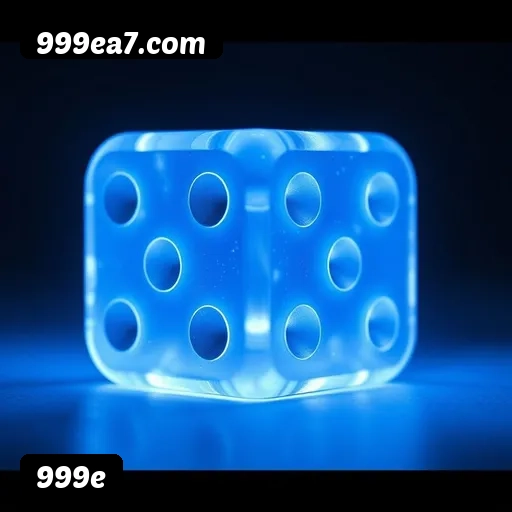 Suporte 24 horas 999e